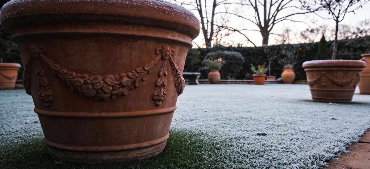 Cuidados del Cesped Artificial en Invierno: Guia Practica