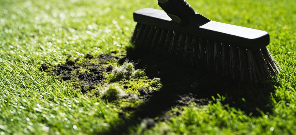 Moho en Cesped Artificial: Causas y Como Eliminarlo